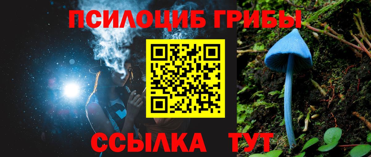 Псилоцибиновые грибы мицелий  Галлюциногенные грибы Cubensis  Кубинка  Вход с VPN 