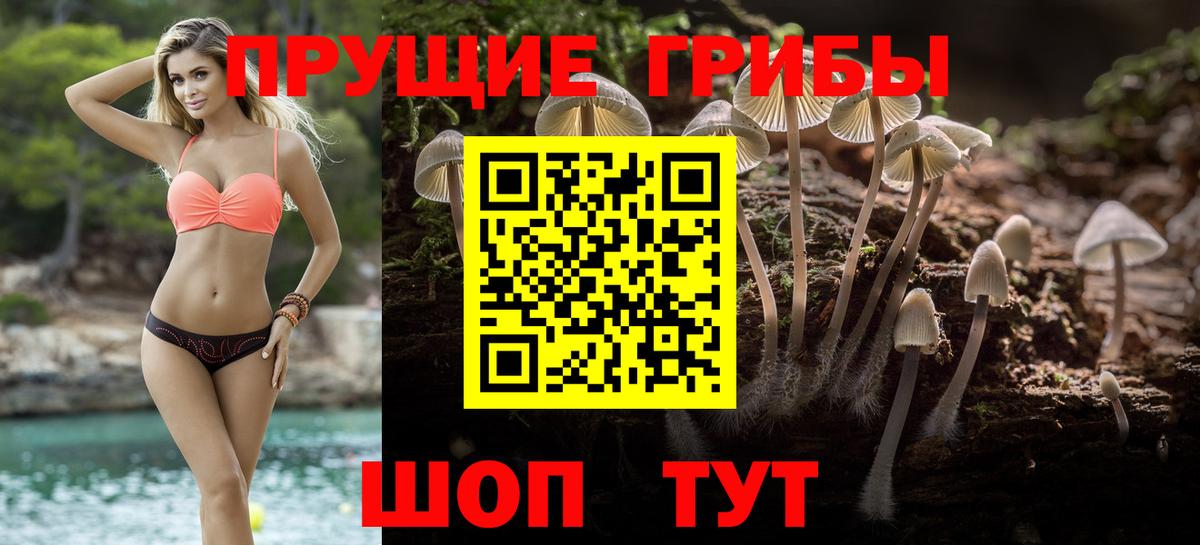 Галлюциногенные грибы мухоморы Кубинка